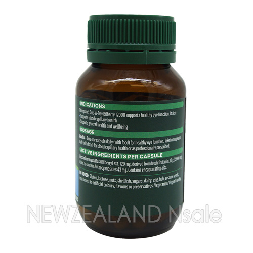 톰슨 원어데이 빌베리12000mg 60캡슐 2통