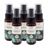 하이웰 프로폴리스 UMF 20+, MGO 830+ 구강스프레이 30ml 5통